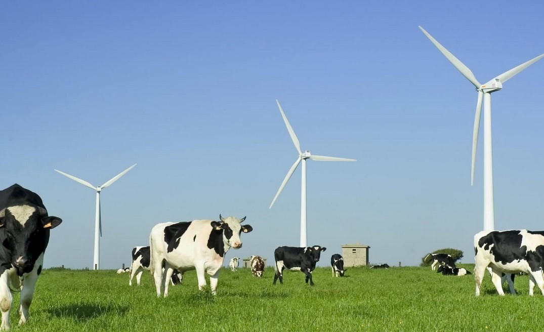 Eu Renewables Compatible With Food Production, Nature Protection – And Maybe Humans