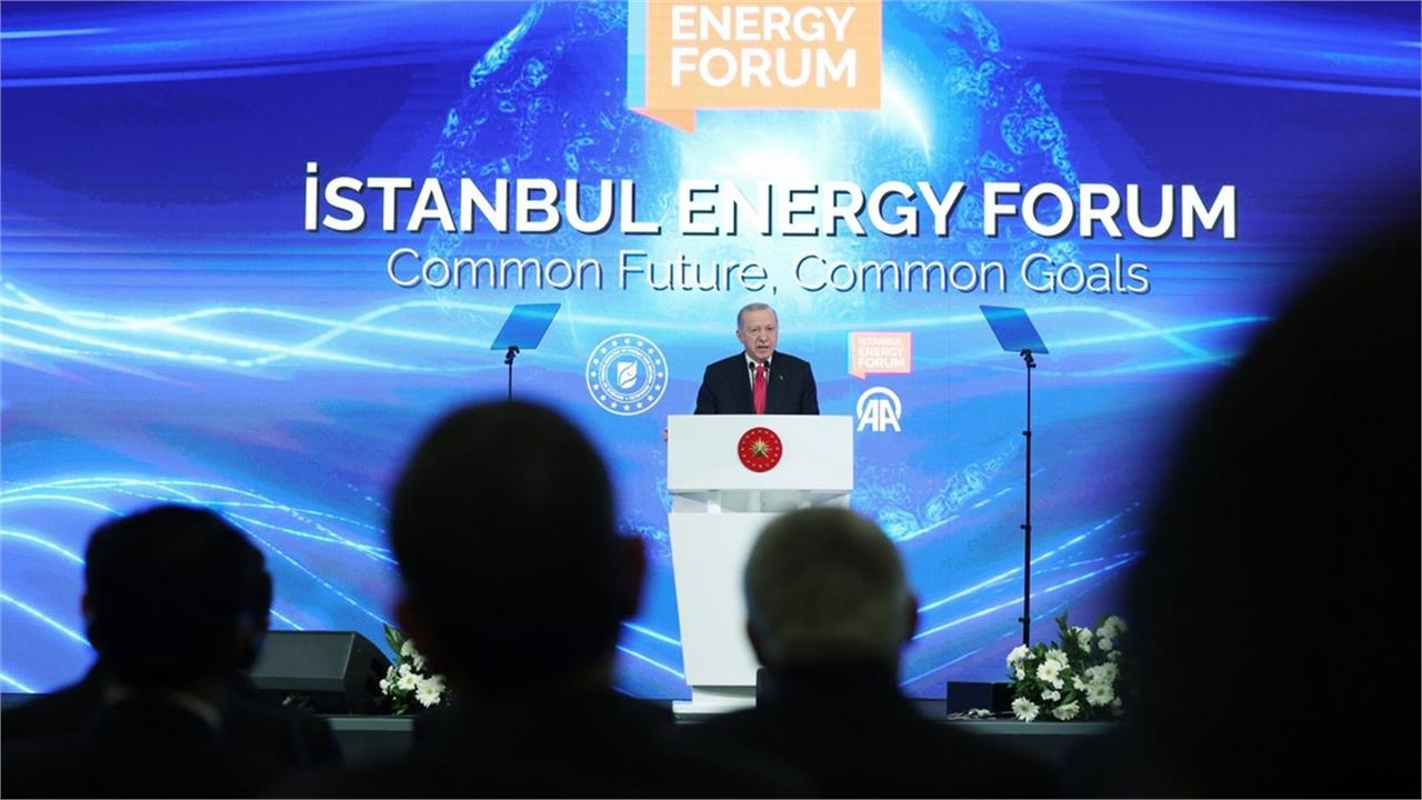 Turkiye Not Backing Down from Energy Self-Sufficiency Goal: Erdogan