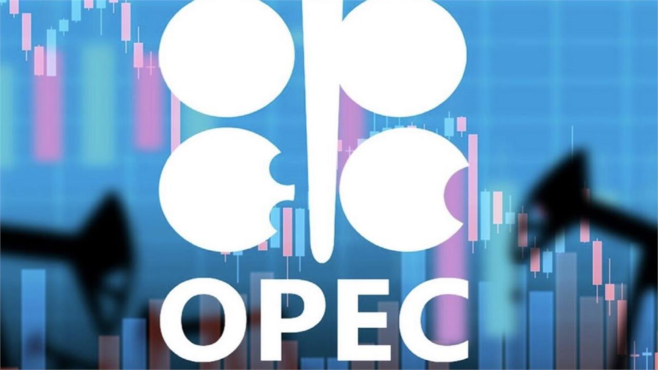 OPEC+ Sticks to Oil Policy, Ditches US Government Data