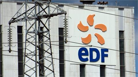   French Government Ousts Head of Nuclear Power Group EDF