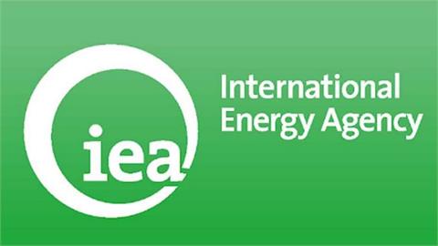 IEA Comes Under Pressure from Former Oil Market Chief to Cut Energy Transition Focus